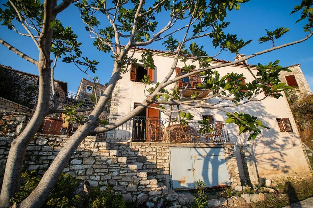 Belvedere, Upper Qeparo *